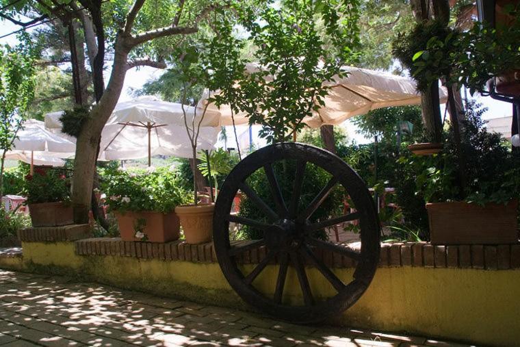 Hotel Ristorante Solari Briatico Extérieur photo
